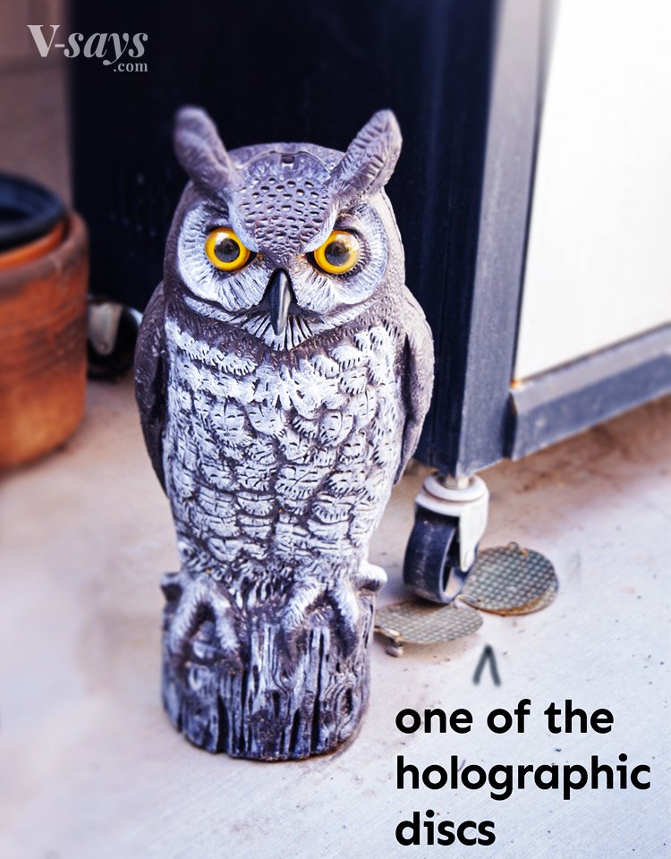 Dalen Great Horned owl scarecrow