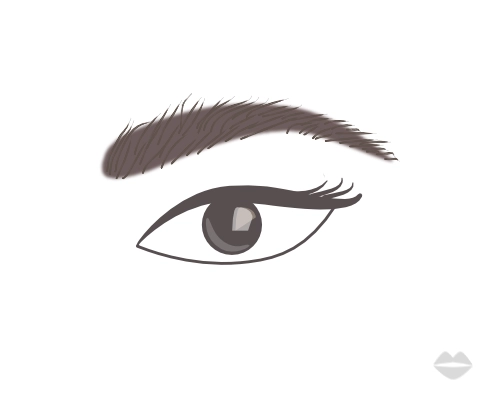 feather brows with definition