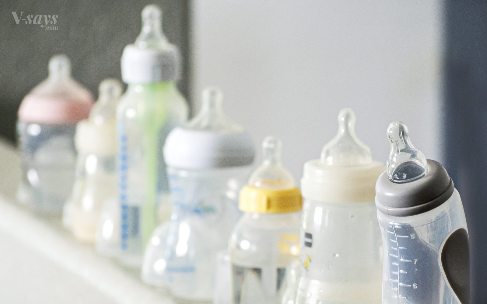 Row of baby bottles