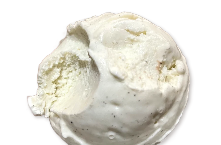 Salt & Straw ice cream double vanilla